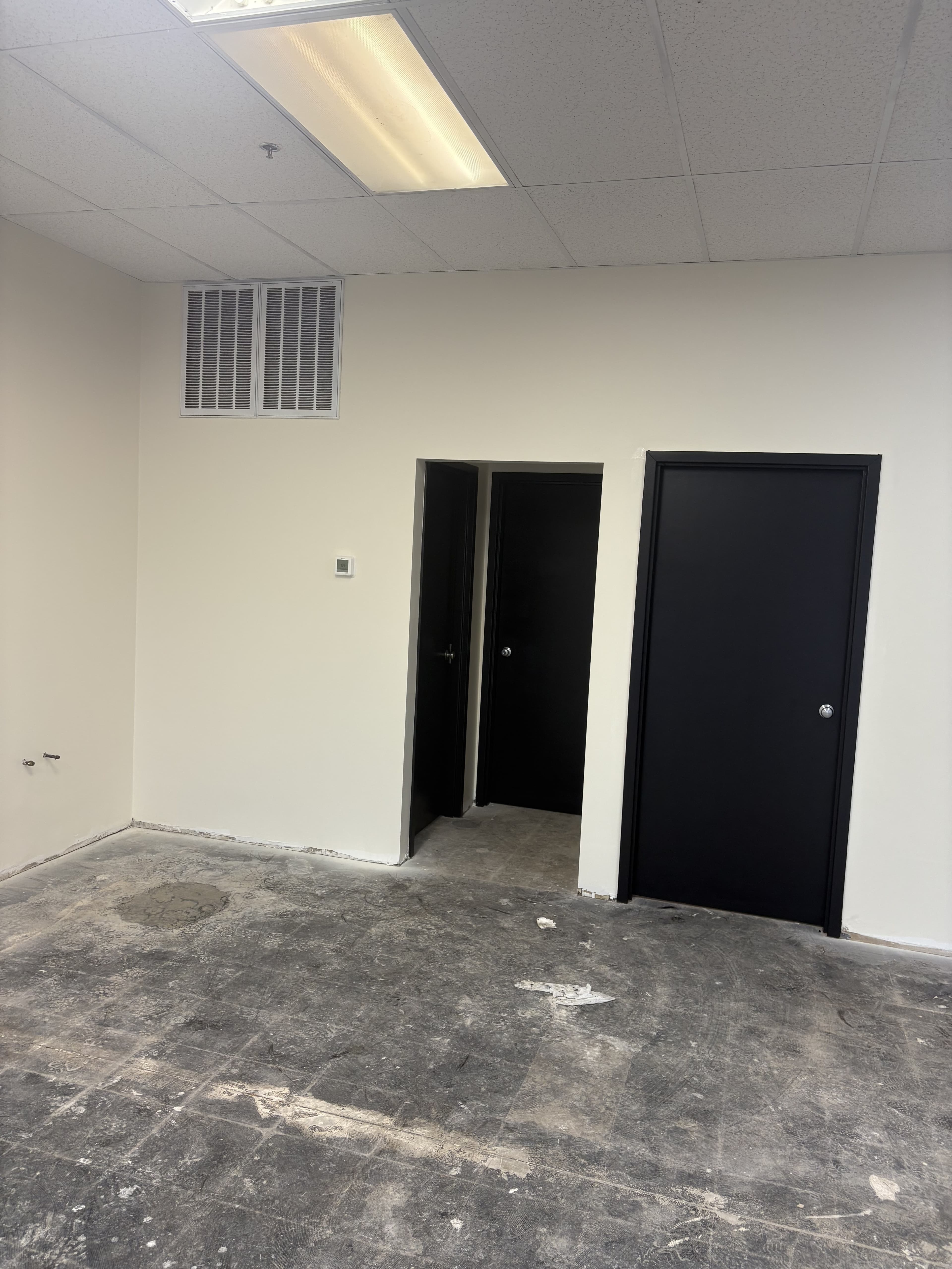Commercial room with installed dark doors and finished walls.